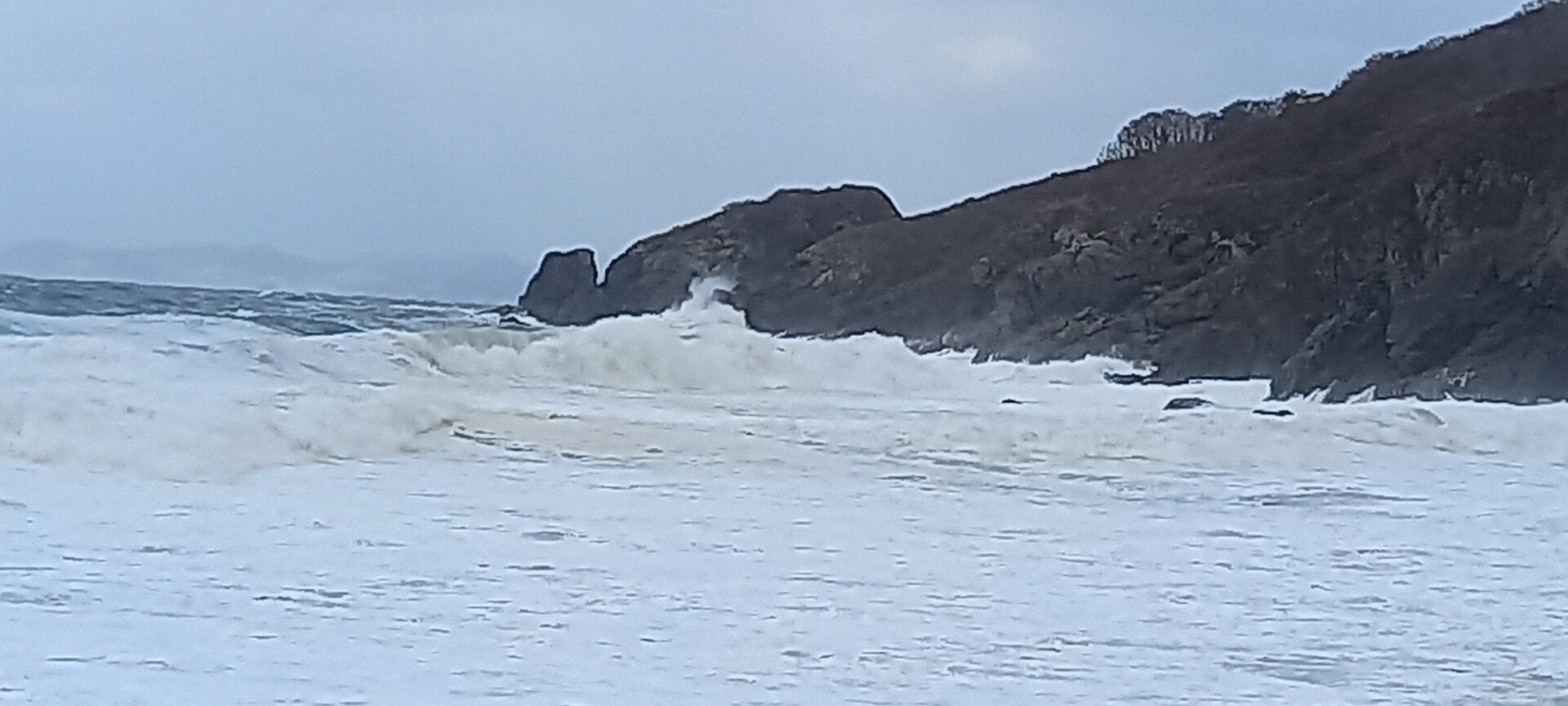 20211109_102739.jpg