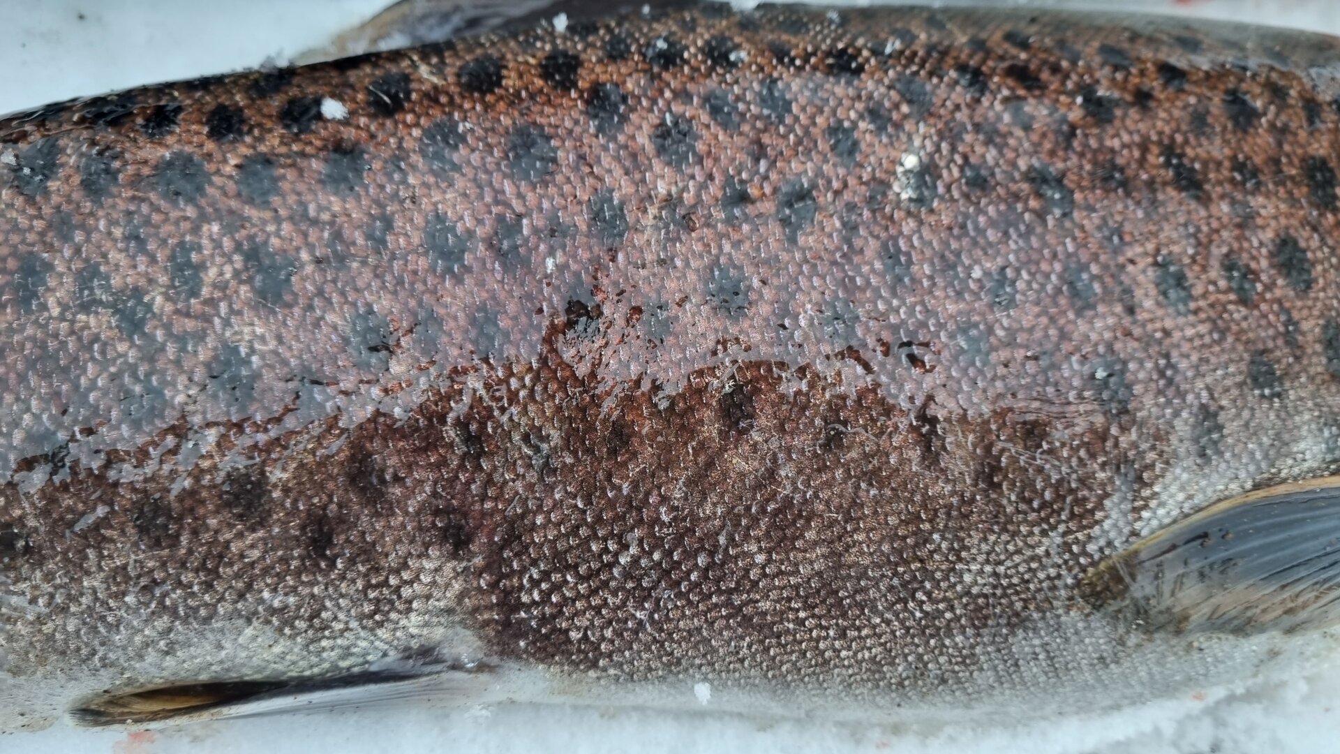 20211113_171751.jpg