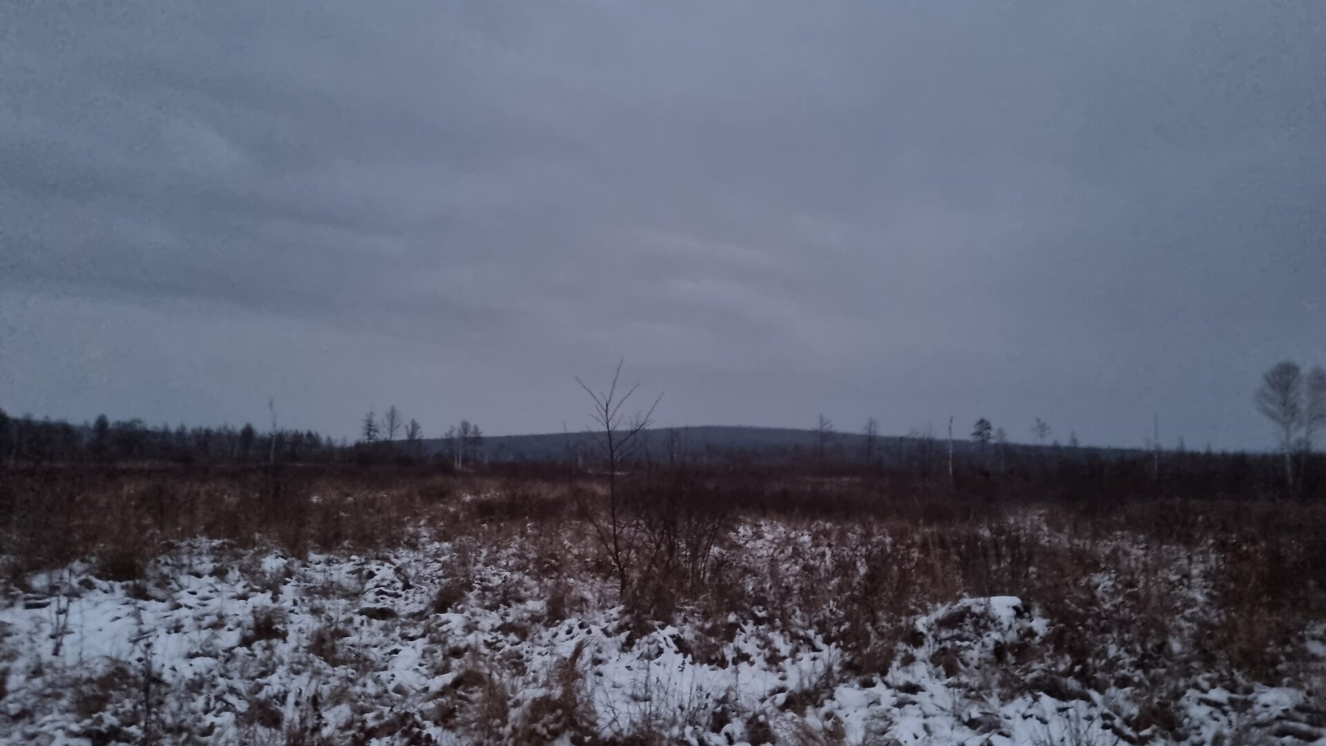 20211113_180616.jpg