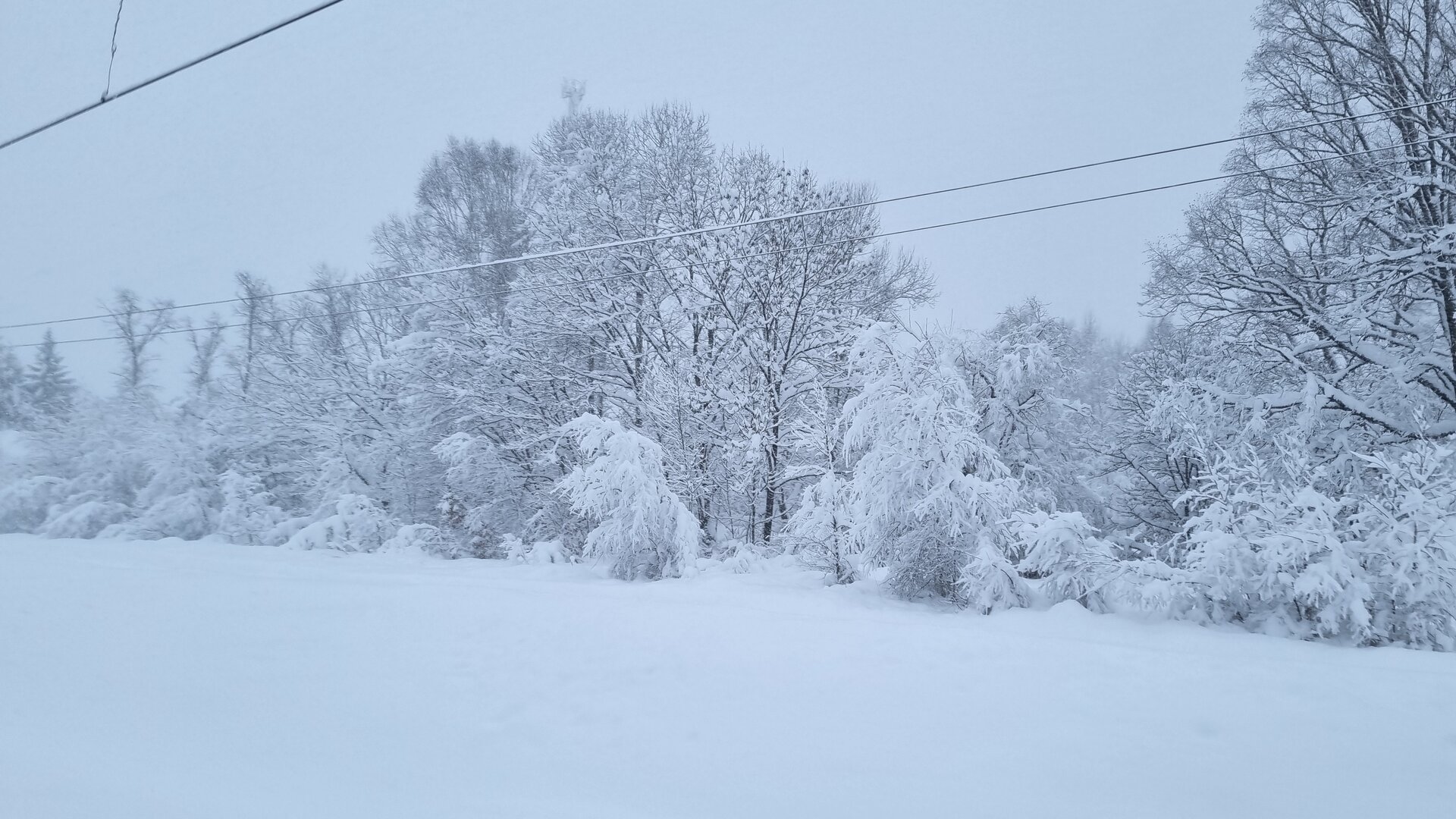 20211124_165928.jpg
