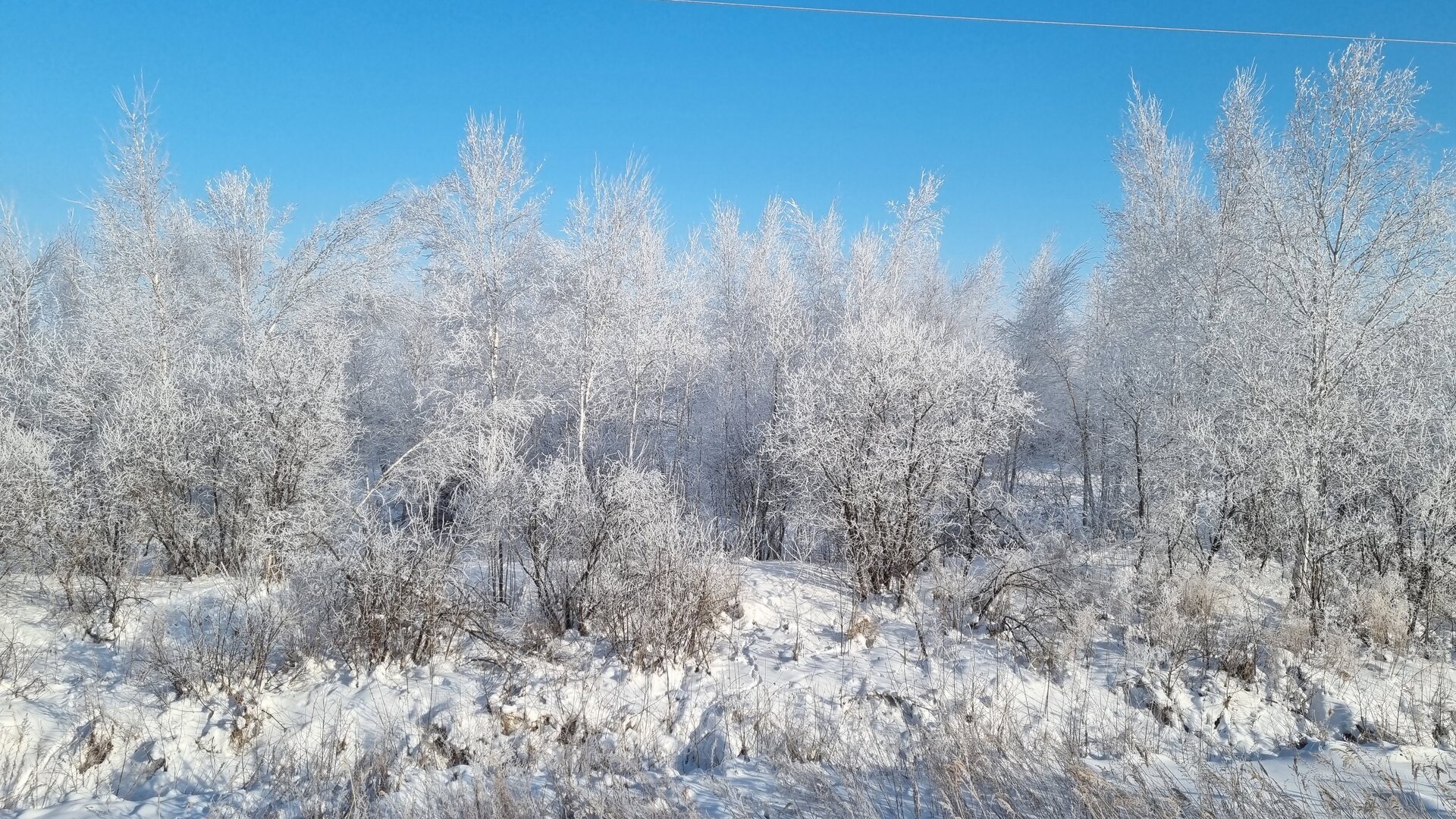 20211208_113046.jpg