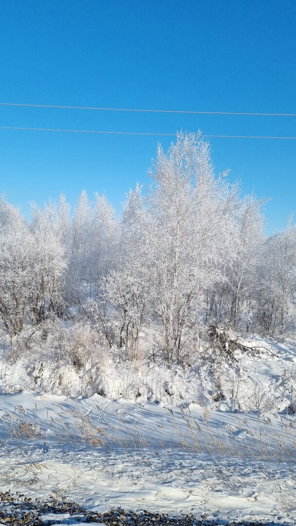 20211208_113051.jpg