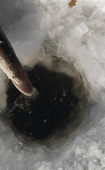 20211208_202057.gif