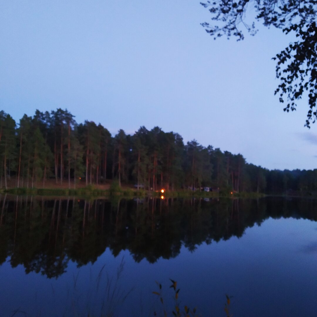 2022-08-01_15-50-42_187.jpg
