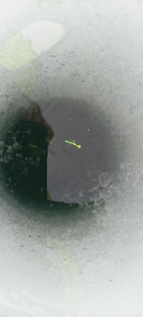 20220107_143303.jpg