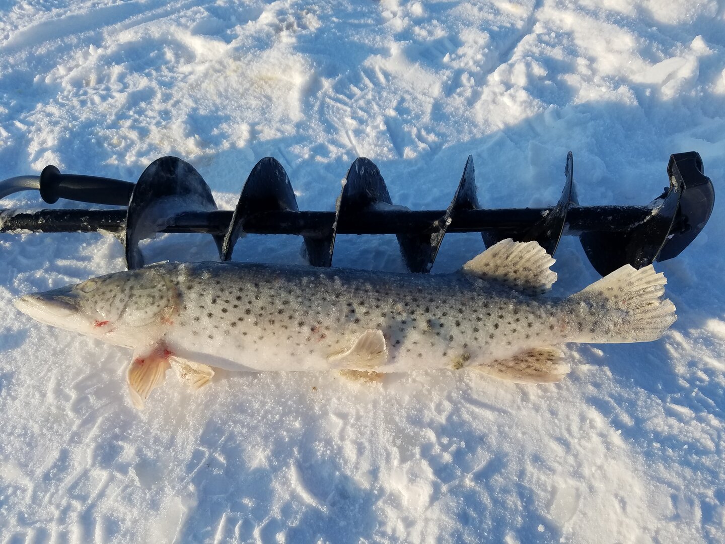 20220110_155637.jpg