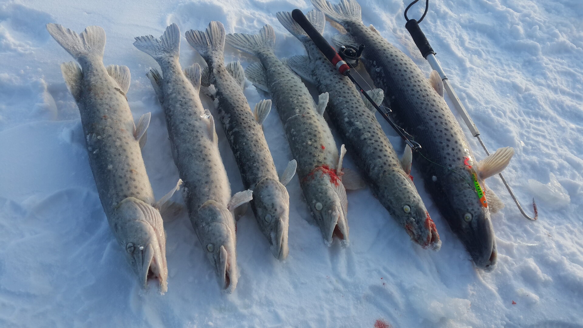 20220111_160437.jpg