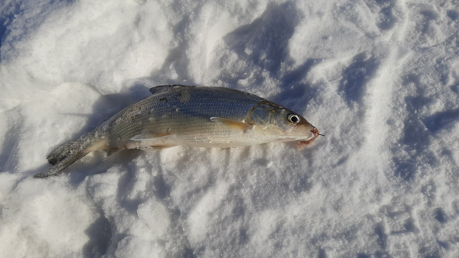 20220115_122656.jpg
