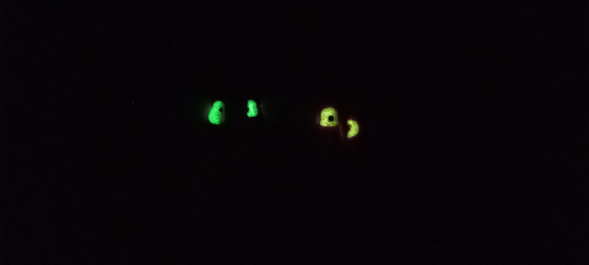 20220116_210016.jpg