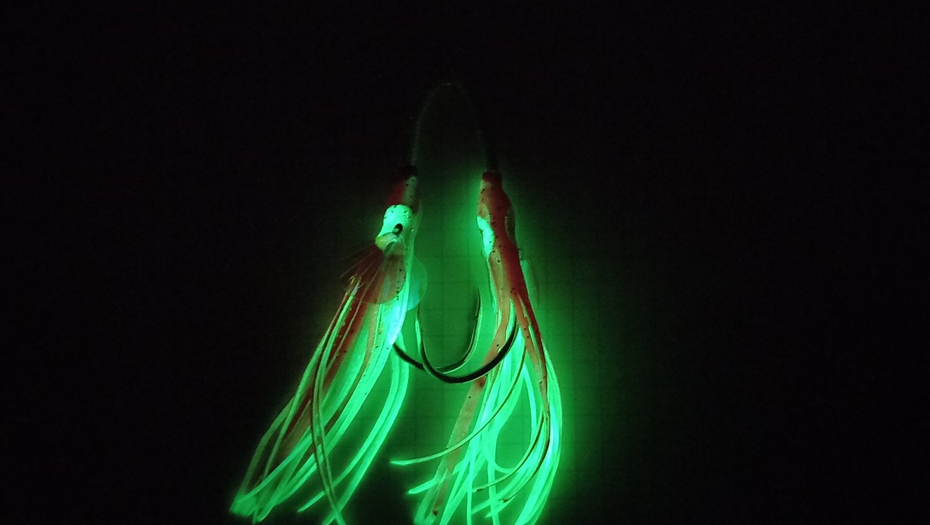 20220118_190534.jpg