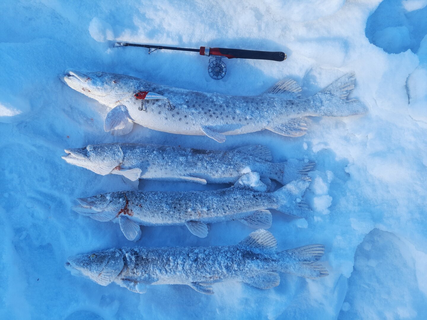 20220120_153308.jpg