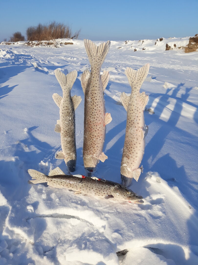 20220122_161342.jpg