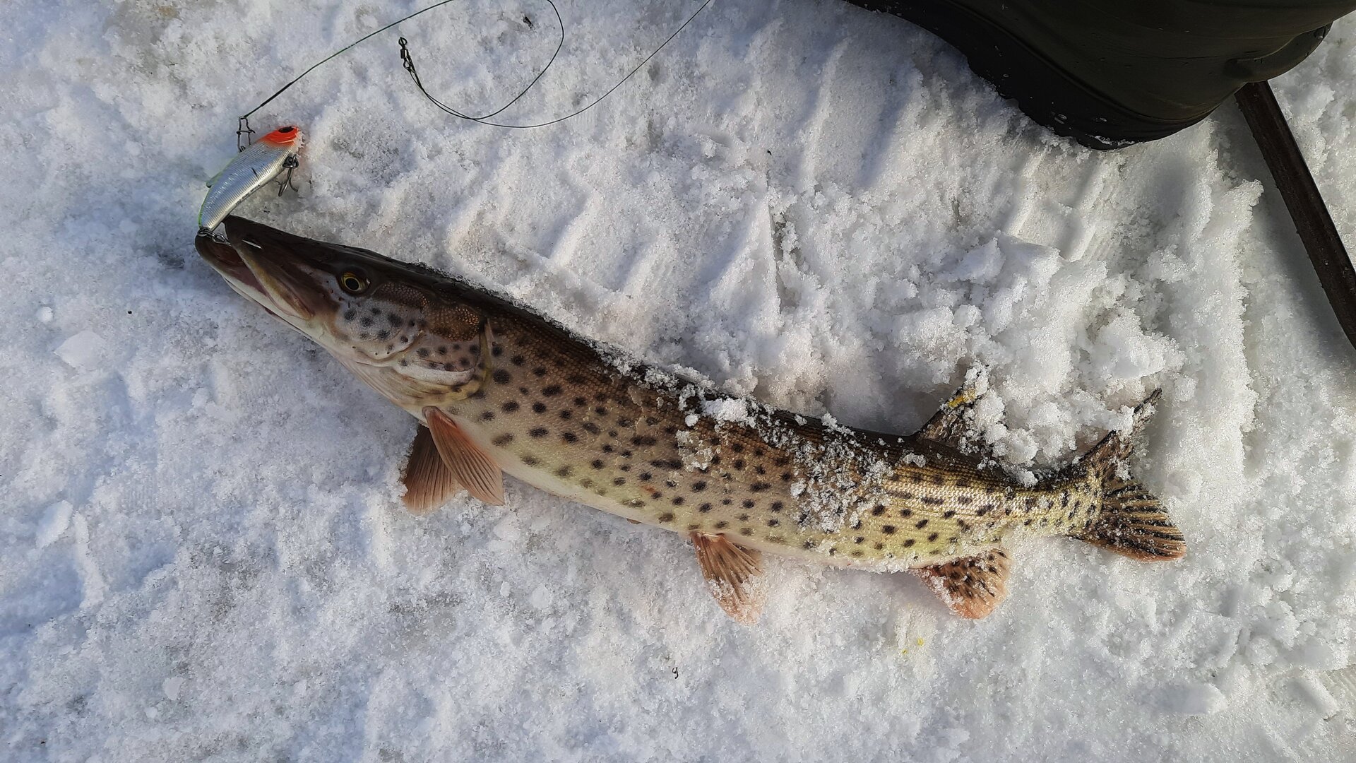 20220123_141909.jpg