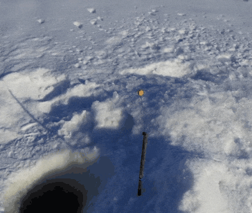 20220123_223216.gif