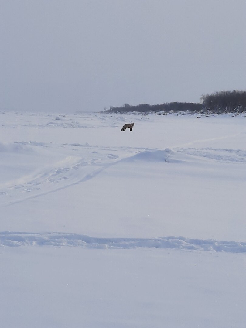 20220205_094648.jpg 20220205_094648.jpg