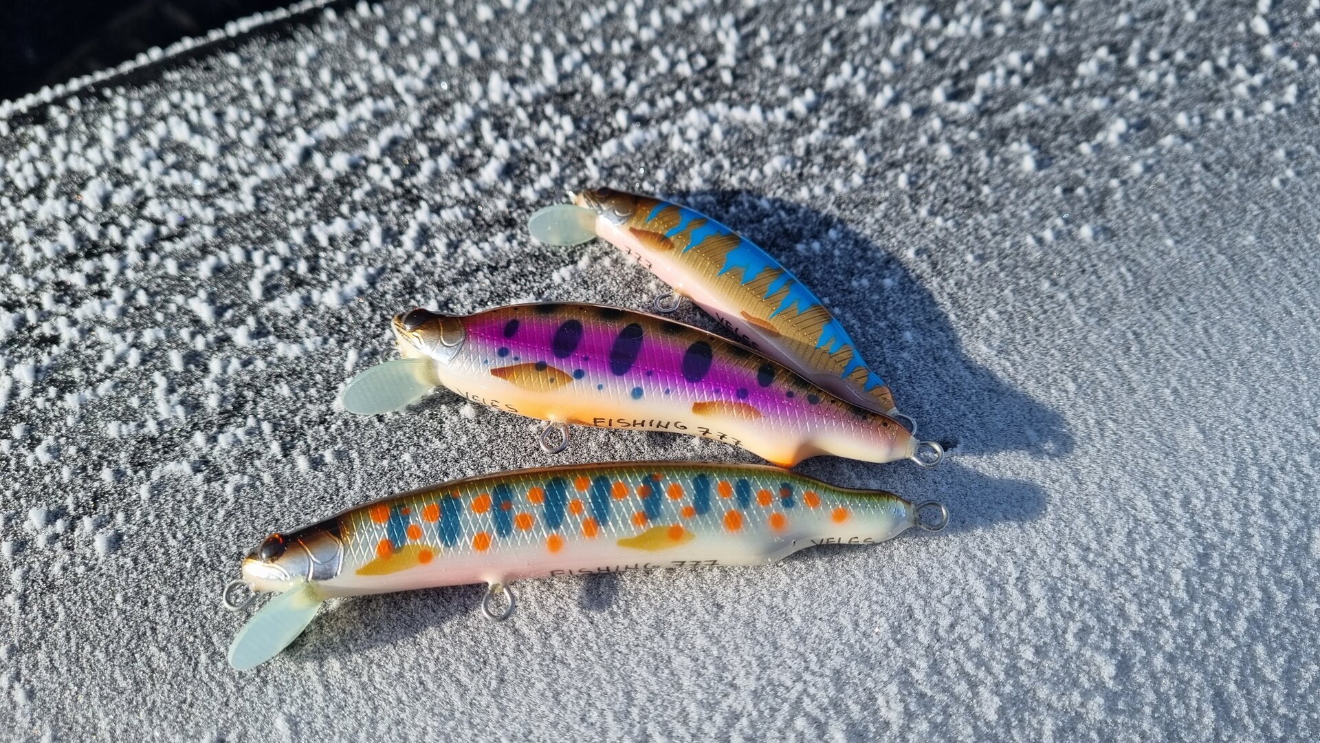 20220205_105510.jpg
