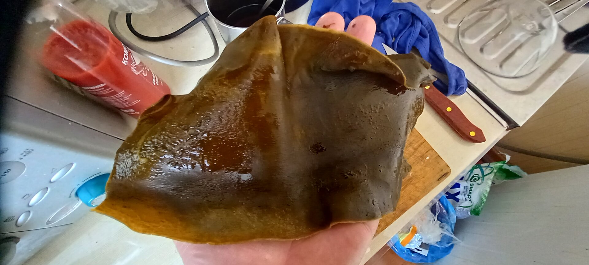 20220216_152123.jpg