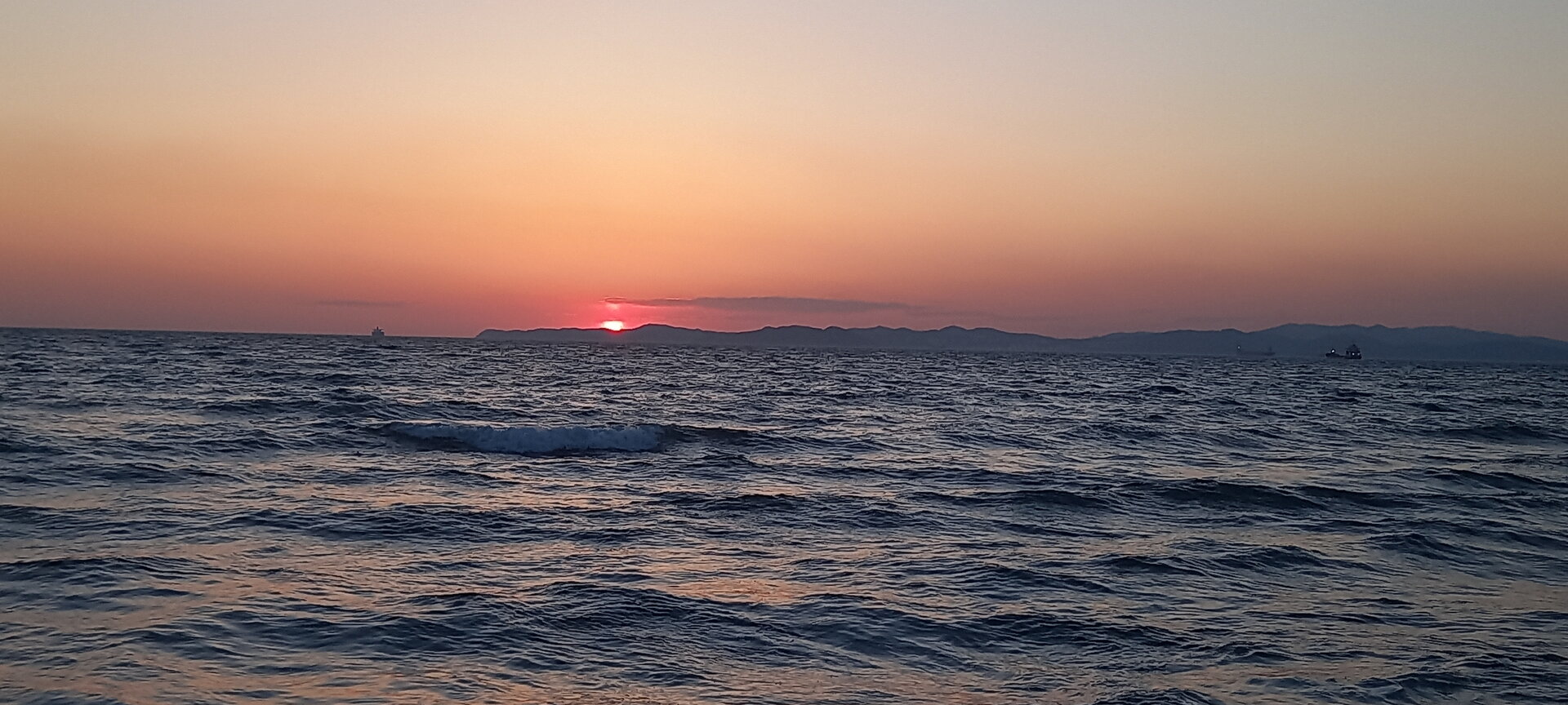 20220301_185403.jpg