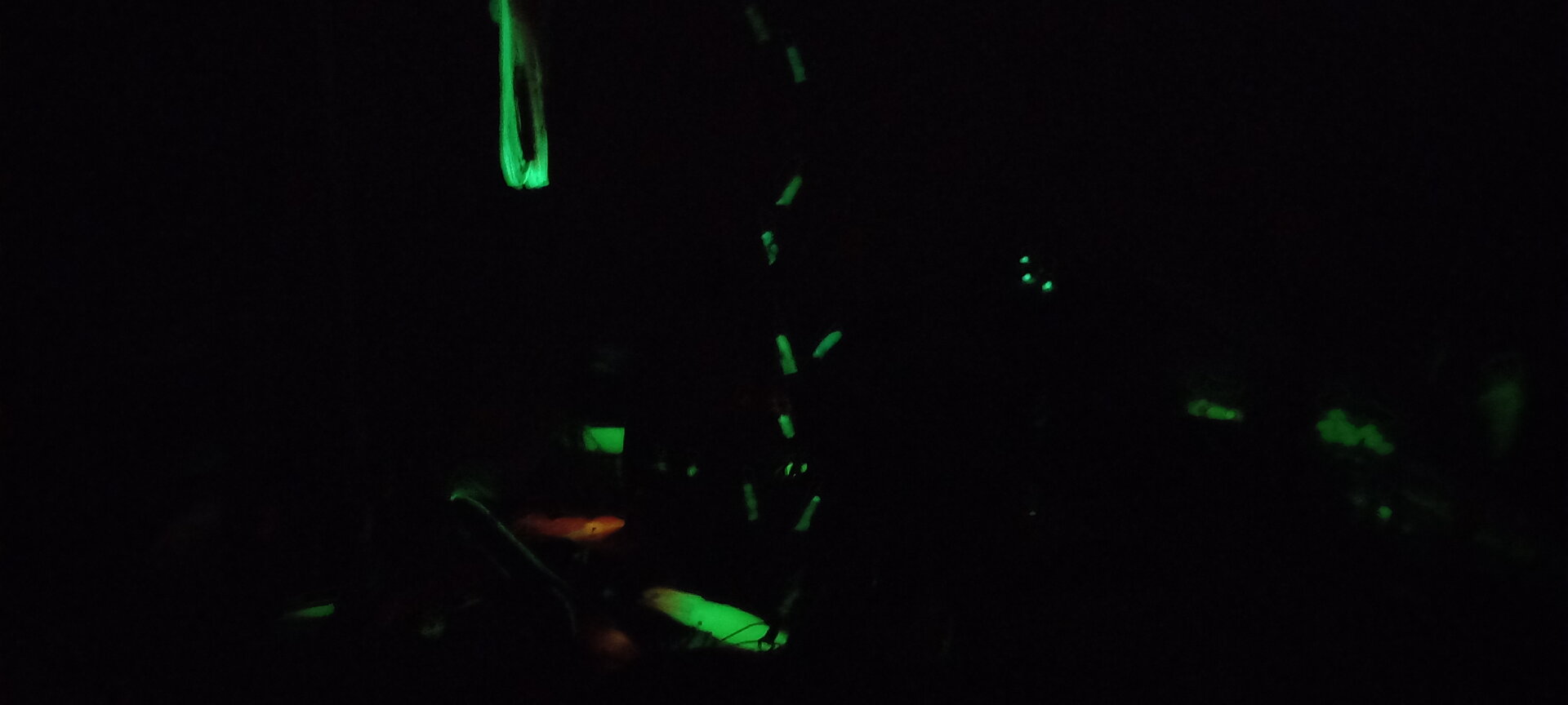 20220301_214935.jpg