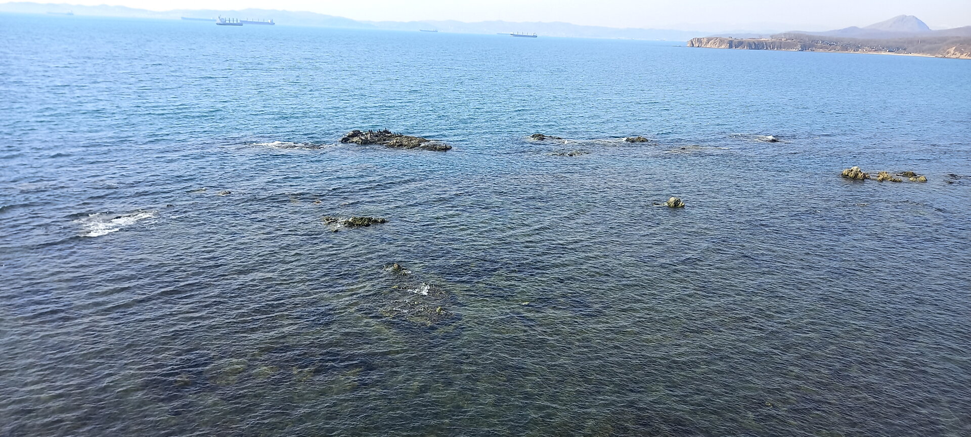 20220308_145007.jpg