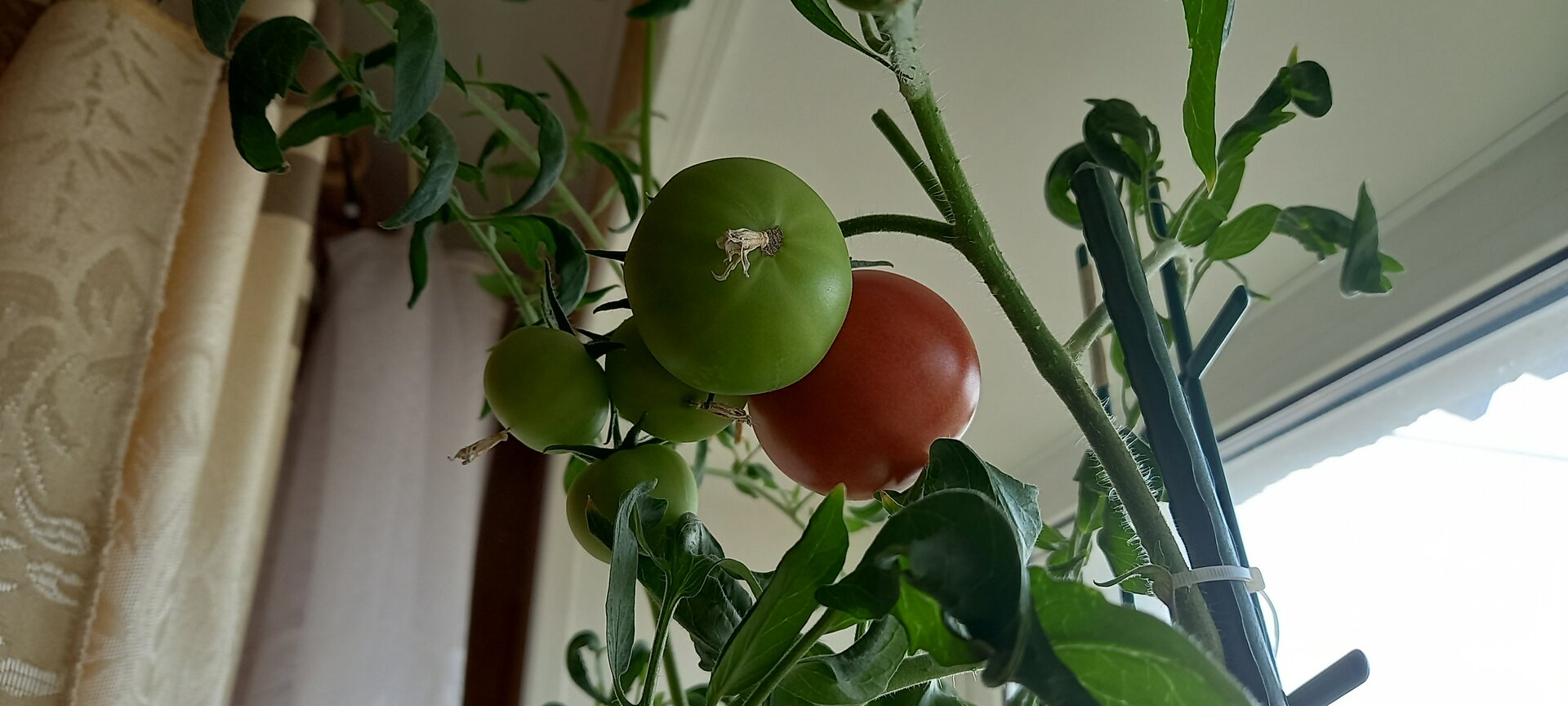 20220311_154740.jpg 20220311_154740.jpg
