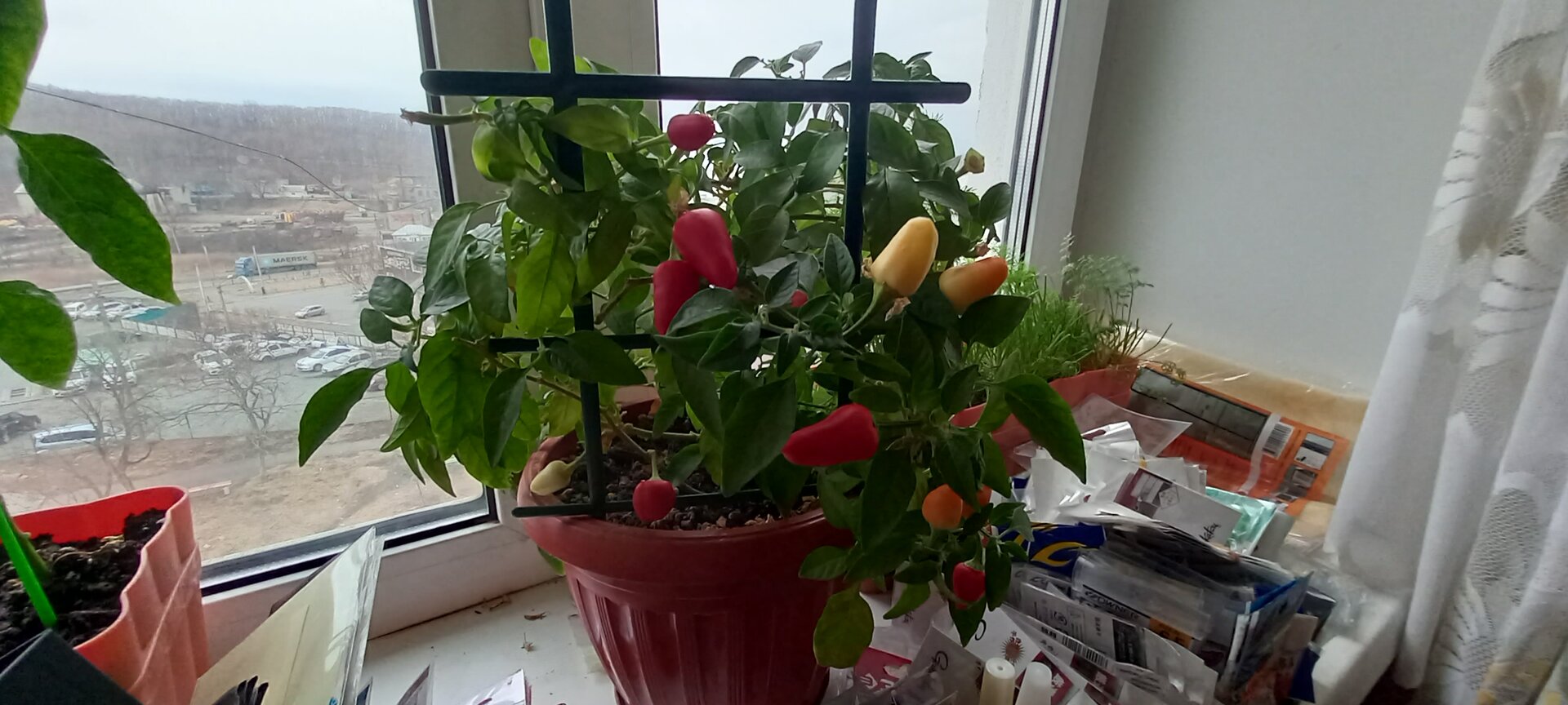 20220323_160458.jpg