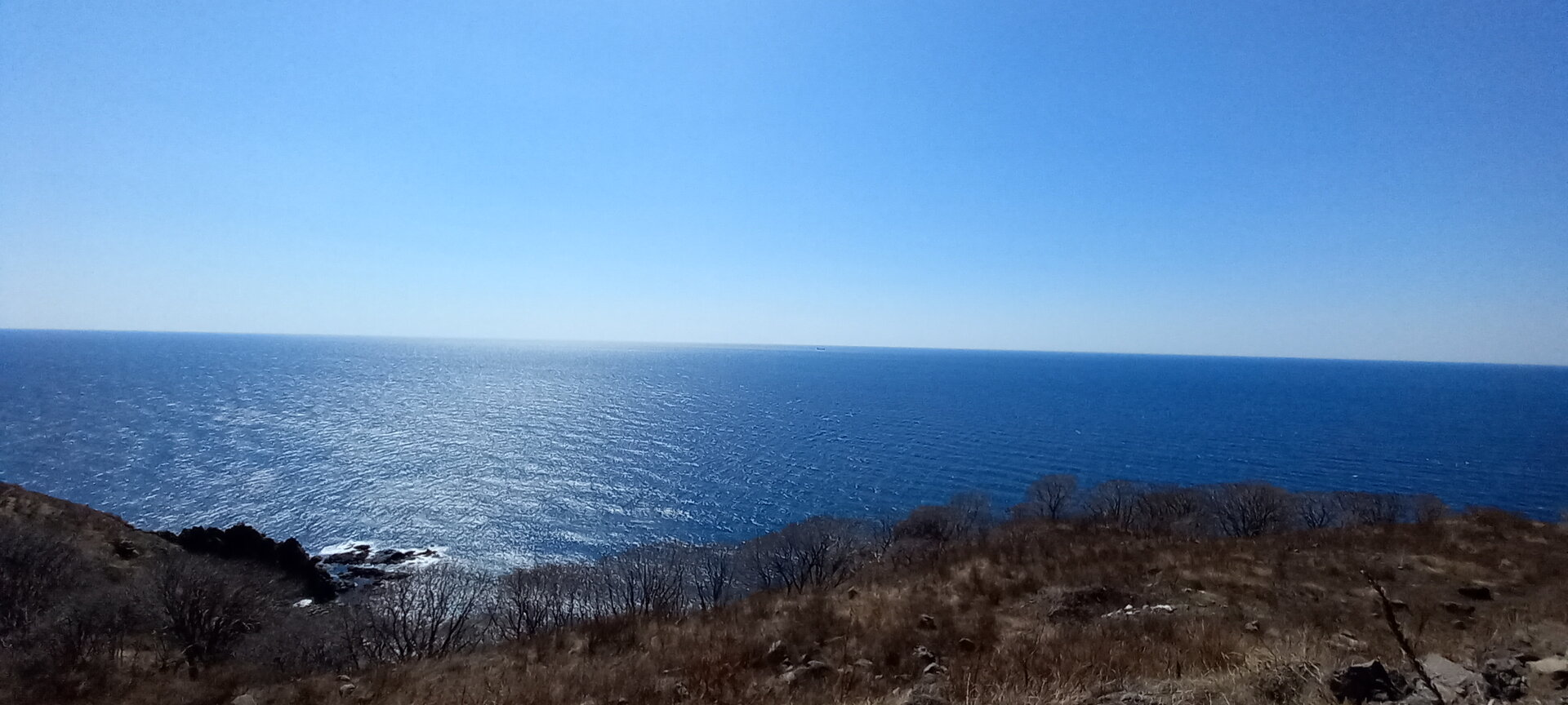 20220401_133900.jpg