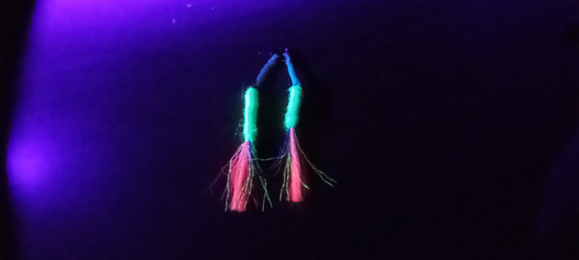 20220402_203551.jpg