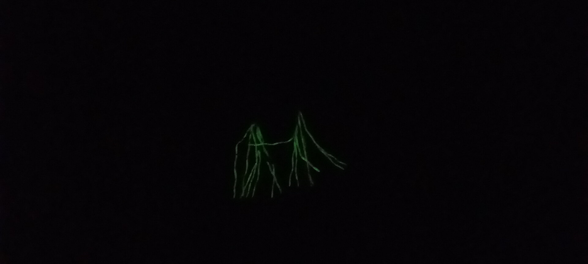 20220402_203615.jpg