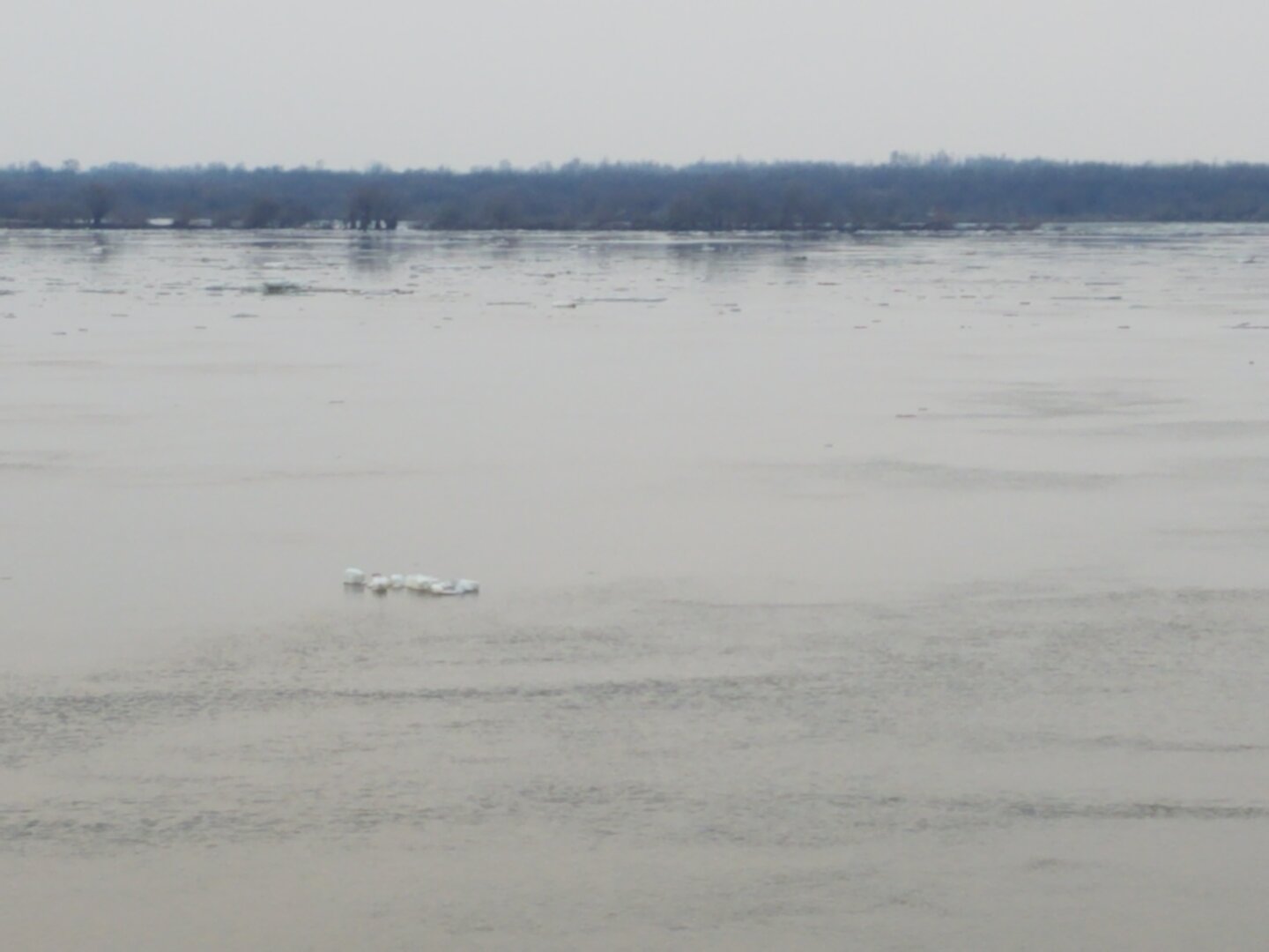 20220416_165323.jpg