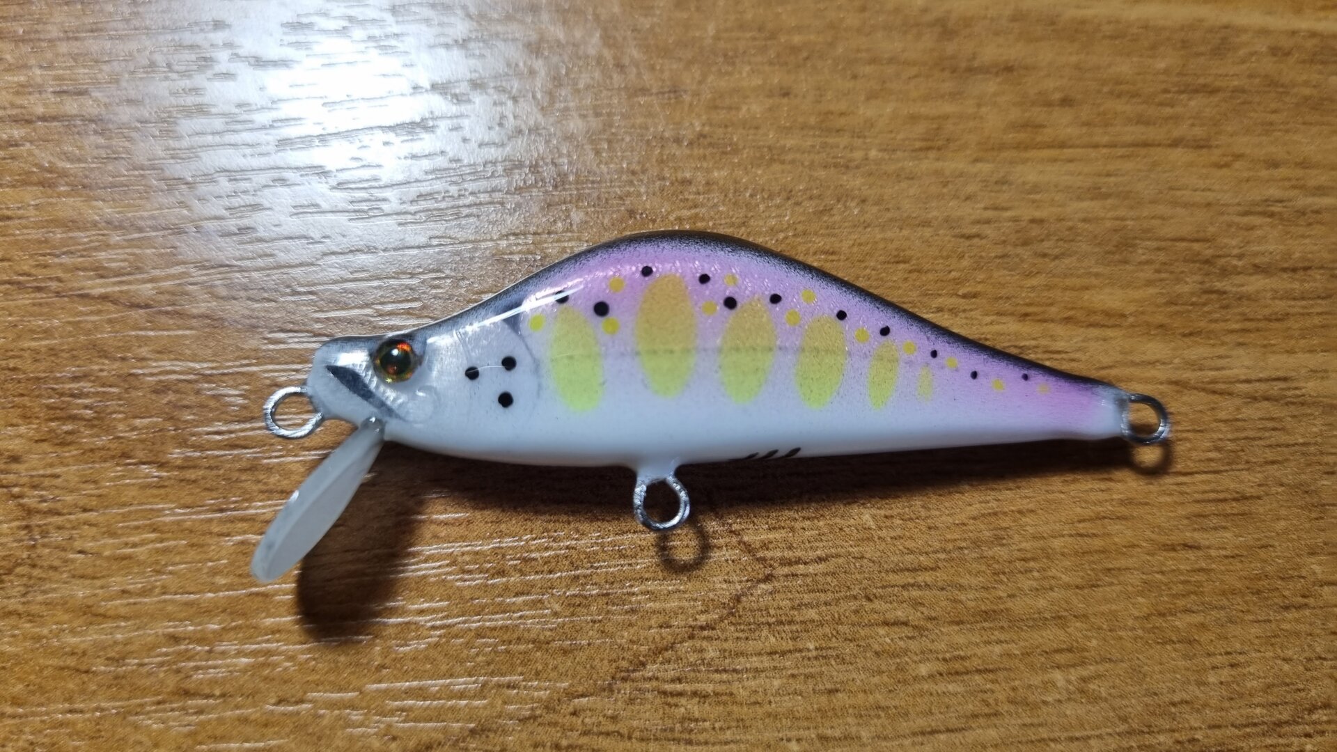 20220419_113145.jpg