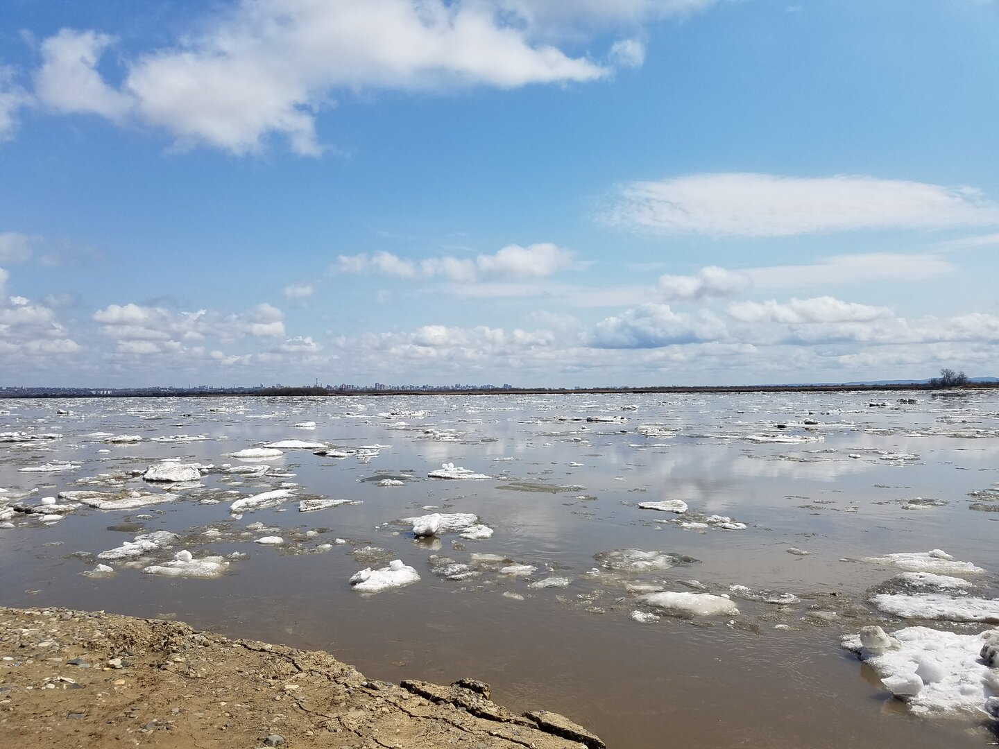 20220423_132909.jpg