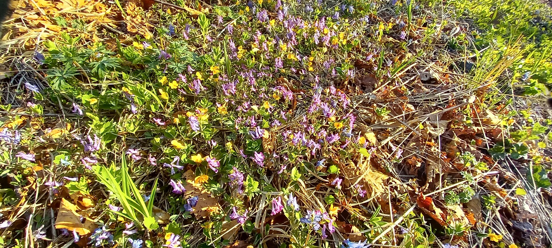 20220501_184802.jpg