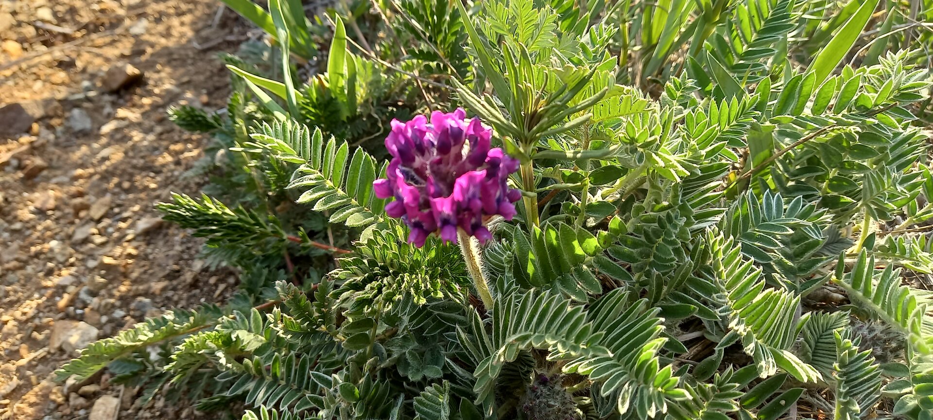 20220501_185144.jpg