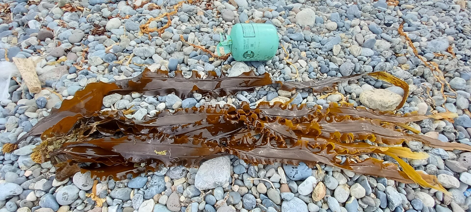 20220503_103144.jpg