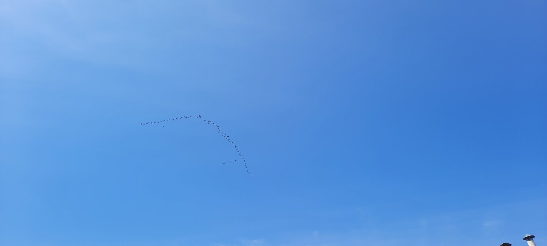 20220503_112320.jpg