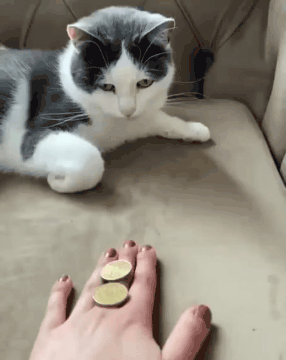 20220507_090840.gif