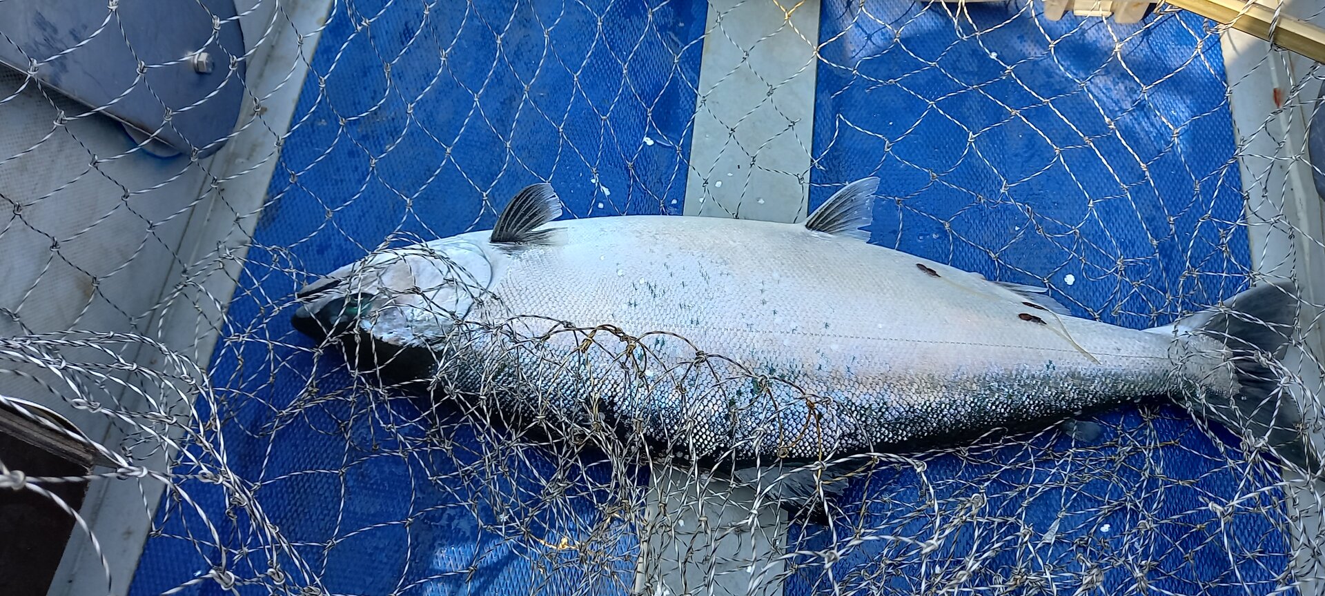 20220518_084646.jpg