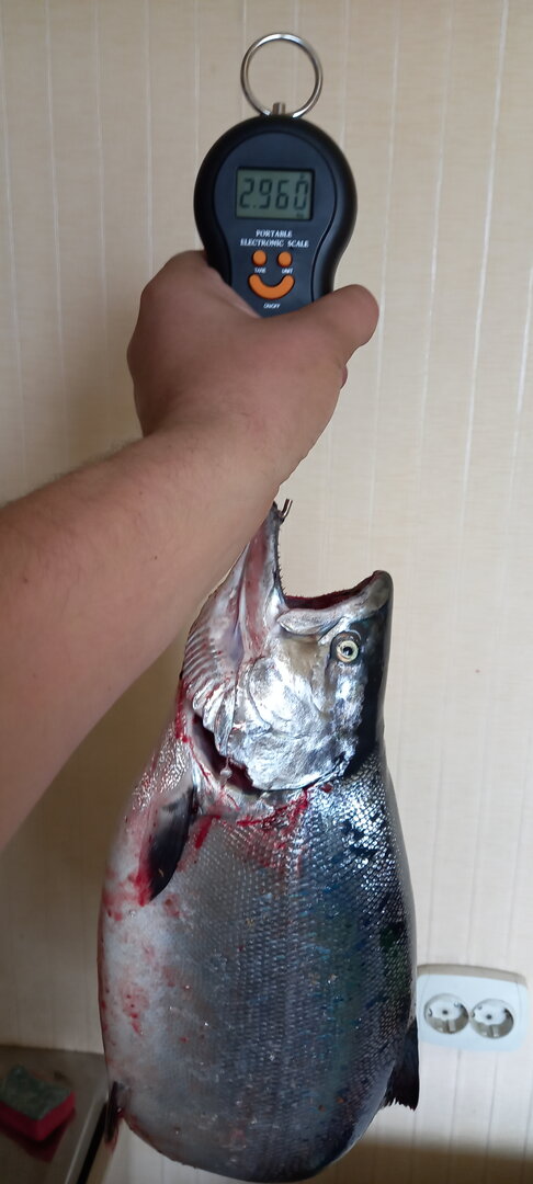 20220518_124047.jpg