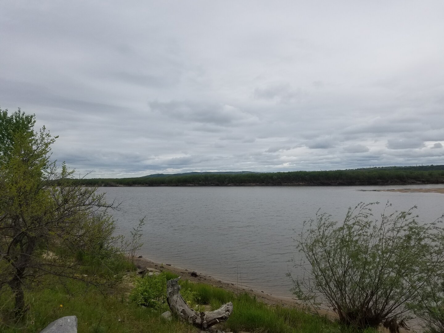 20220522_134859.jpg