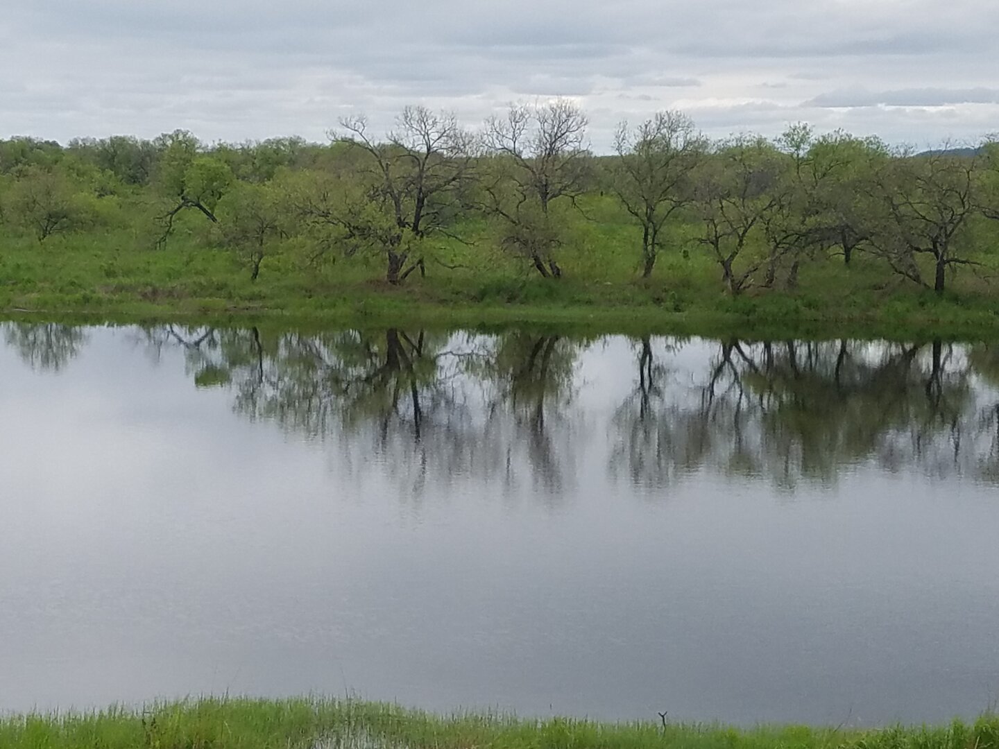 20220522_140749.jpg