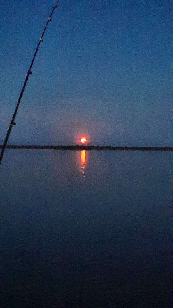 20220614_040137.jpg