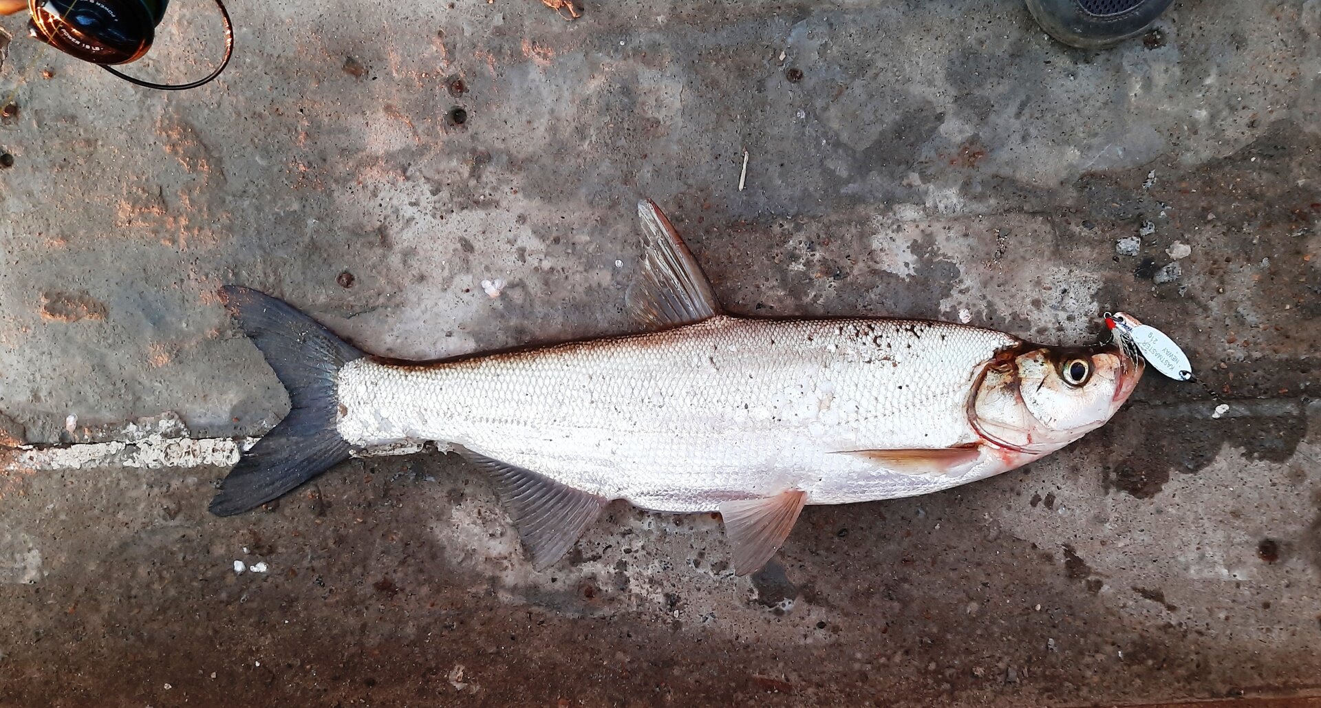 20220619_205505.jpg