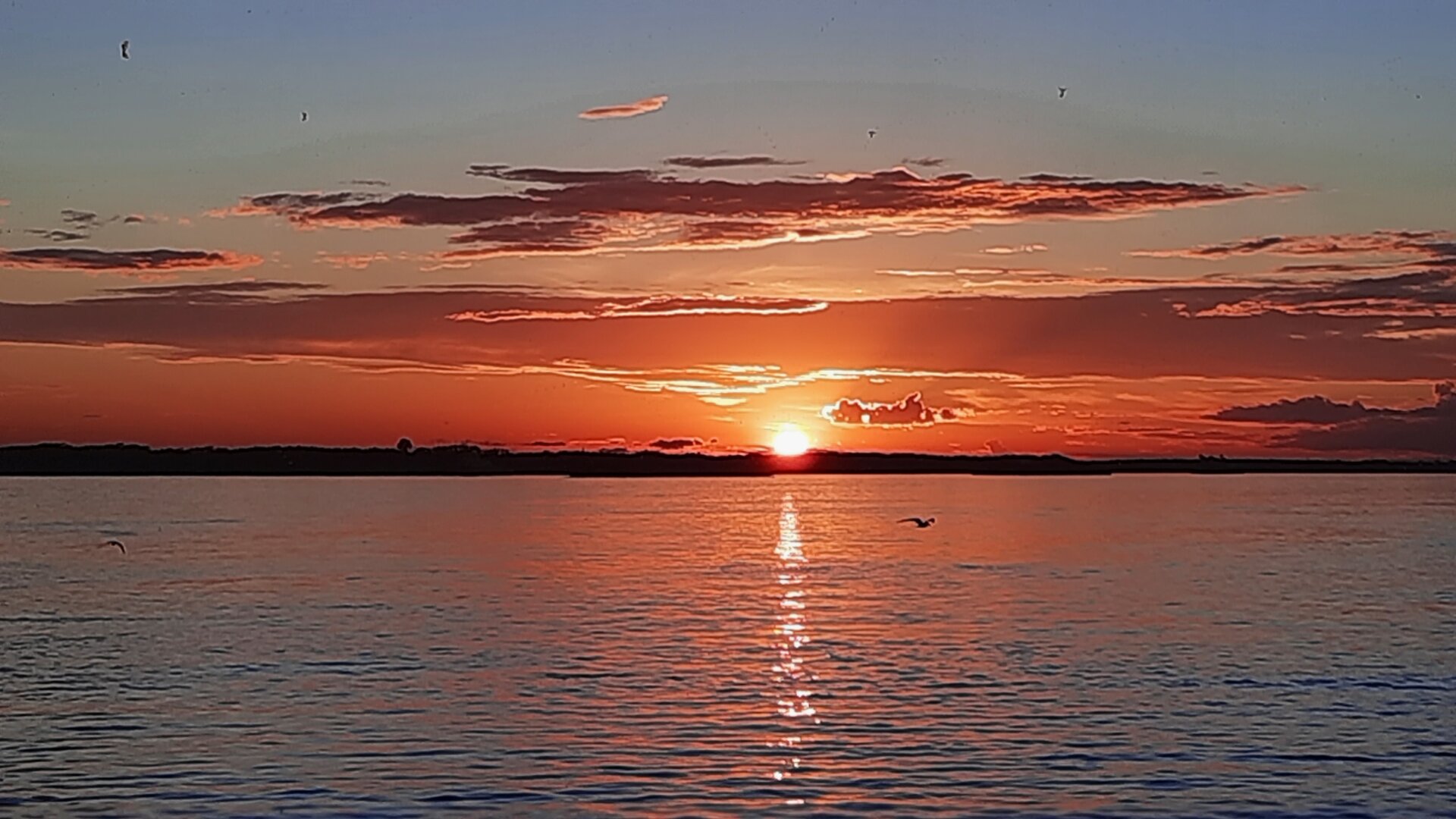 20220619_210036.jpg