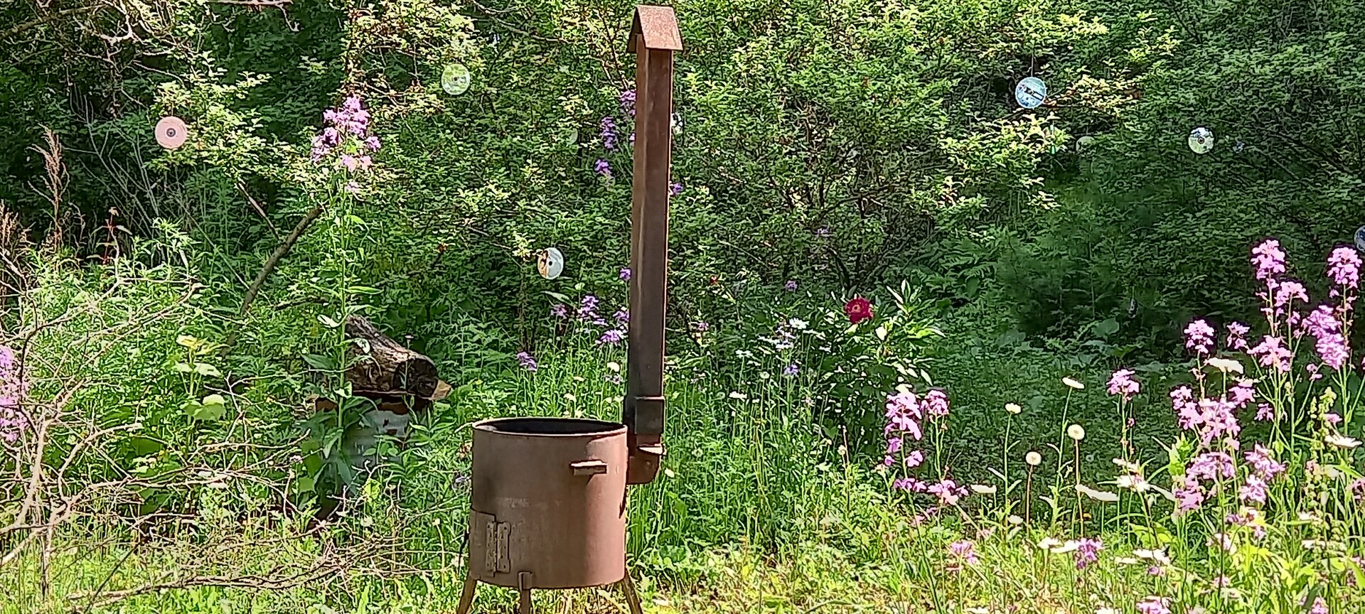 20220620_154257.jpg