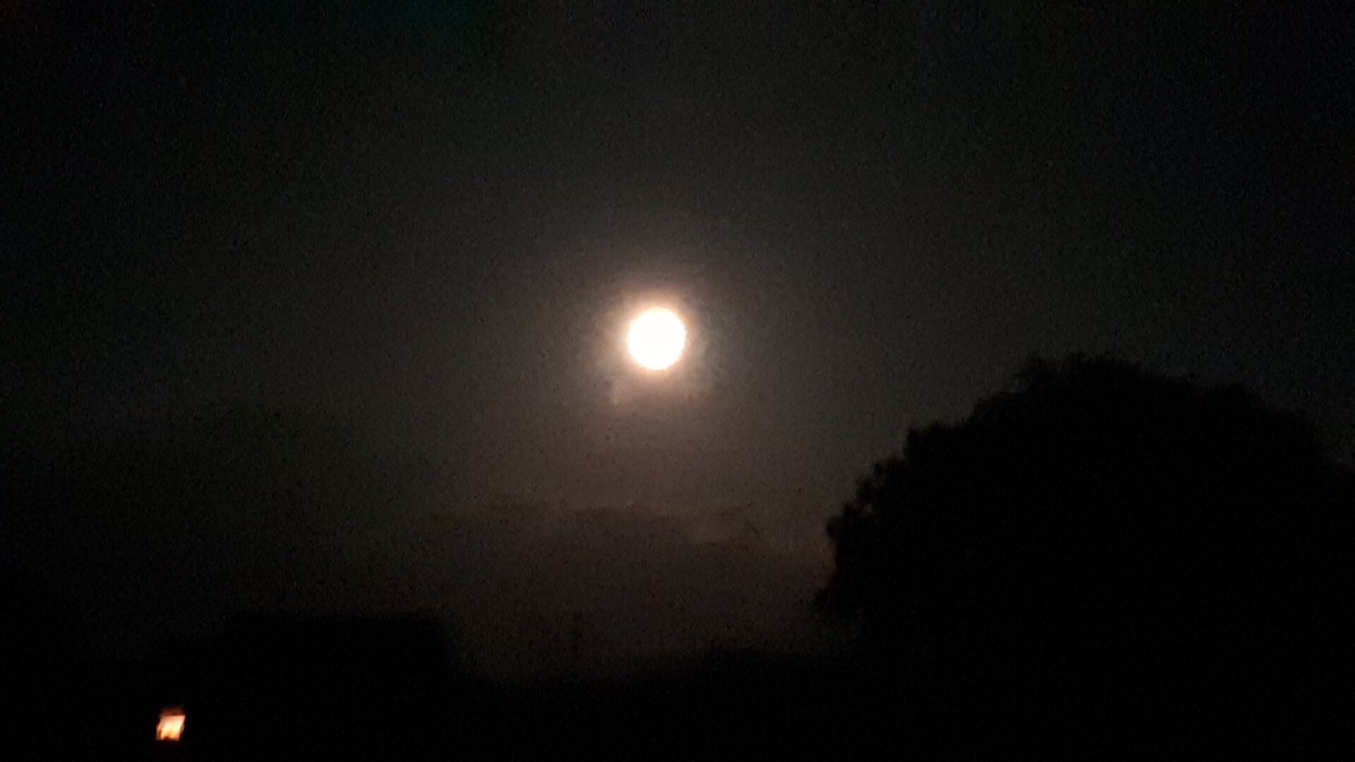 20220713_222754.jpg