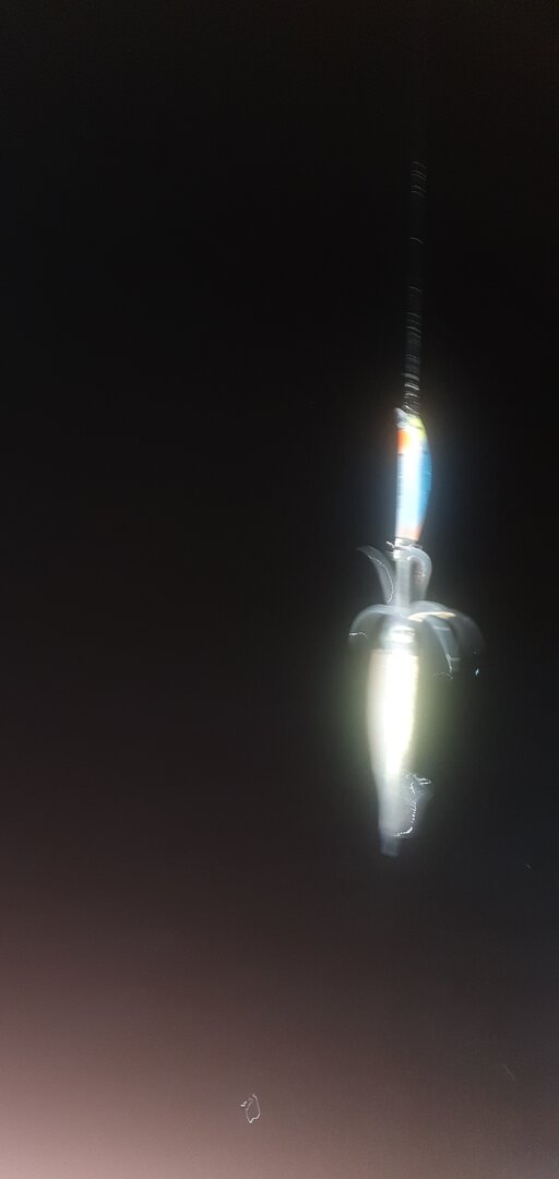 20220724_040649.jpg