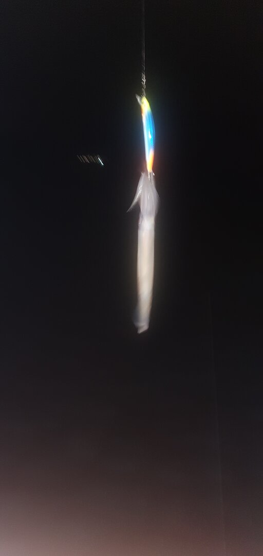 20220724_040708.jpg