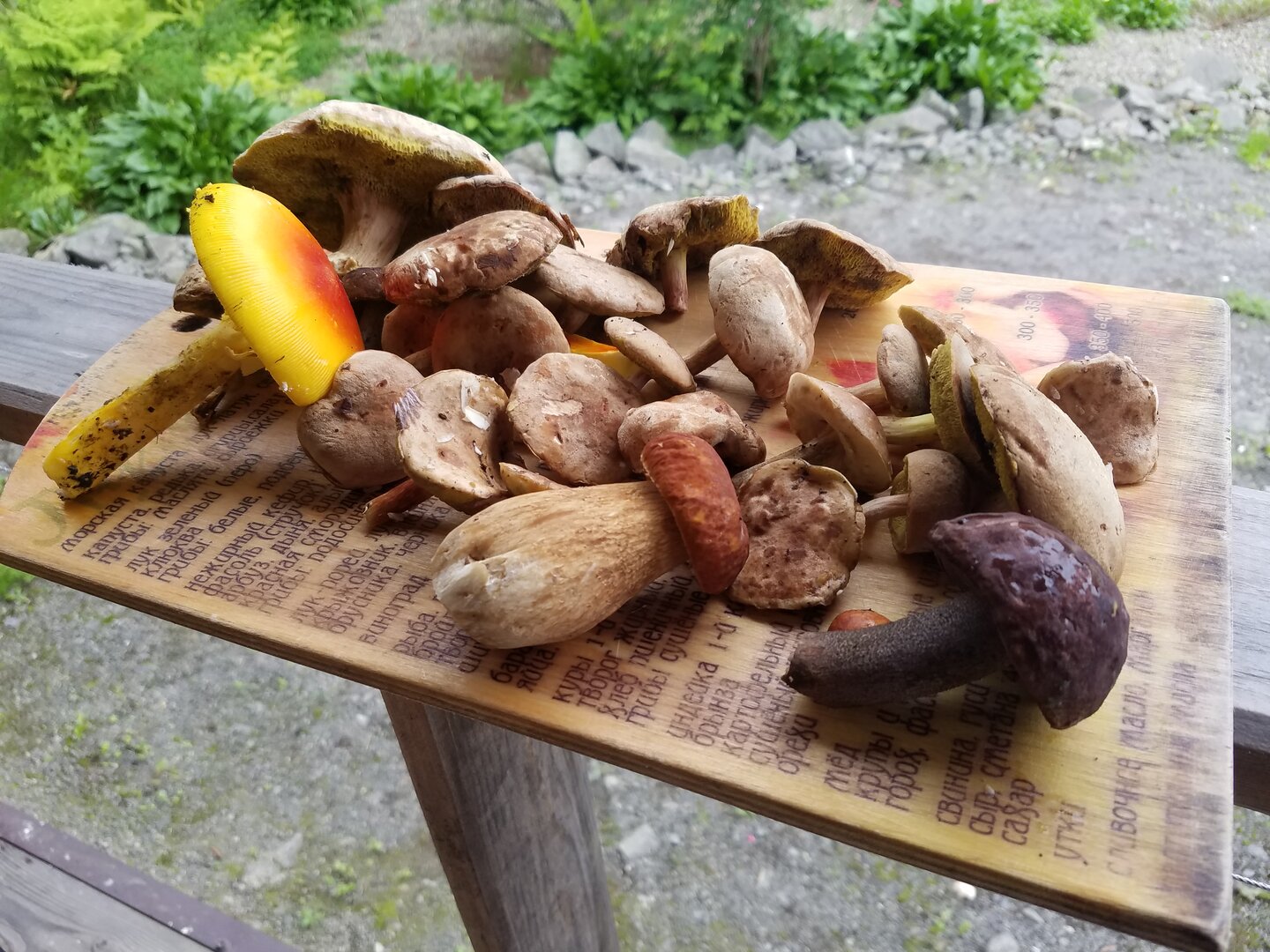 20220724_150425.jpg