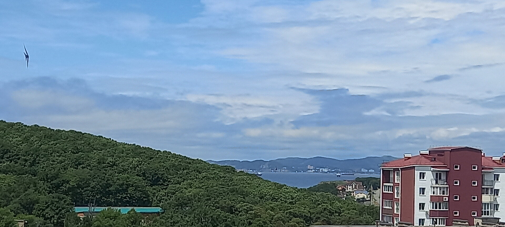 20220725_115731.jpg